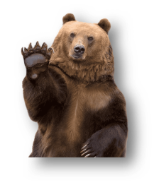 машущий медведь, медведь, бурый медведь, дикие животные png | PNGWing